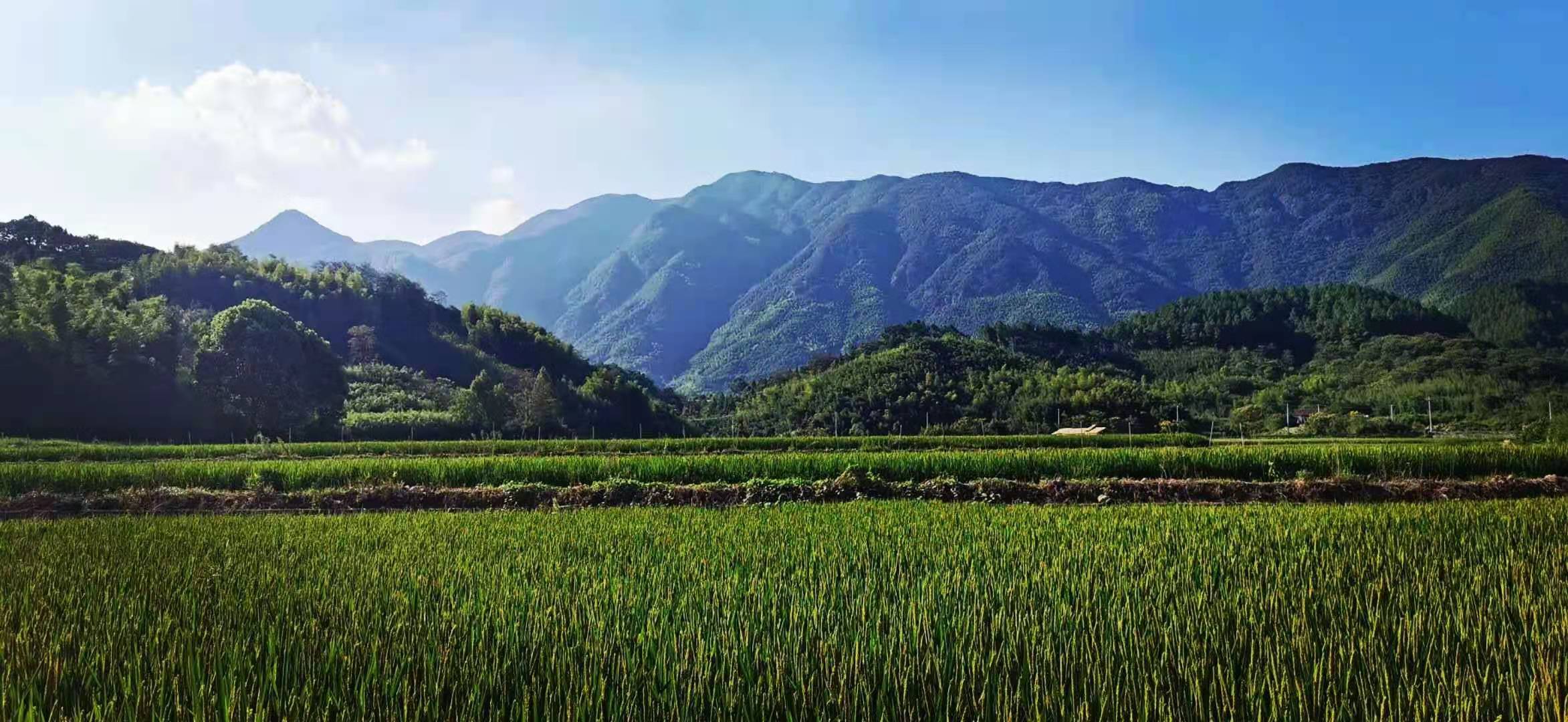 女神節快樂 | 赴一場山野清風的約會