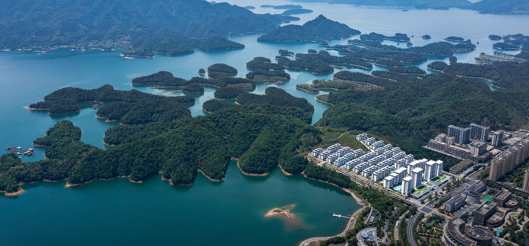 綠城·千島湖柳岸曉風