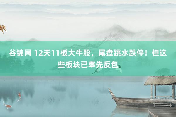 谷锦网 12天11板大牛股，尾盘跳水跌停！但这些板块已率先反包
