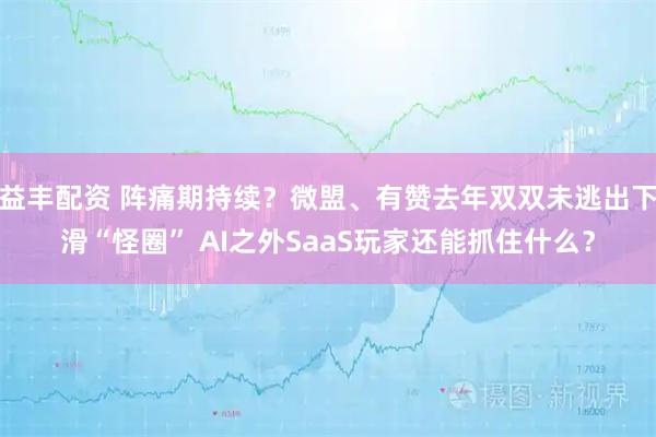 益丰配资 阵痛期持续？微盟、有赞去年双双未逃出下滑“怪圈” AI之外SaaS玩家还能抓住什么？