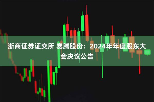 浙商证券证交所 赛腾股份：2024年年度股东大会决议公告
