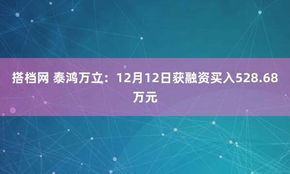 搭档网 泰鸿万立：12月12日获融资买入528.68万元